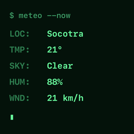 Terminal weather widget